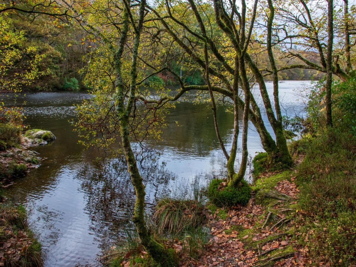 Yr Adfa The Retreat Holiday home Blaenau Ffestiniog